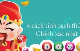 Cách bắt bạch thủ lô