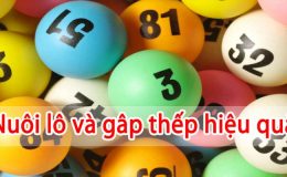 bi-kip-nuoi-lo-gap-thep-hieu-qua-an-chac