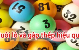 bi-kip-nuoi-lo-gap-thep-hieu-qua-an-chac