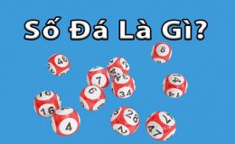 Số đá là gì